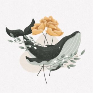 illustration-baleine-fleurs-maxine-ficheux
